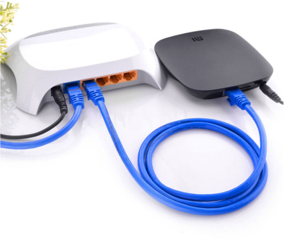 Blue RJ45 Ethernet Cable Internet LAN Cat5 CAT5e