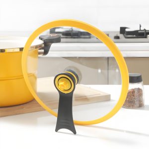 Visible Glass Lid Pot