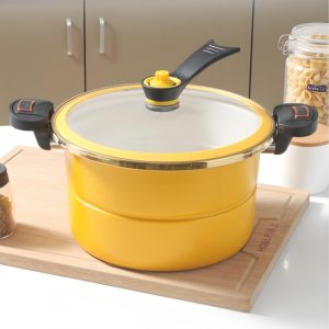 Stainless Steel Micro Pressure Cooker