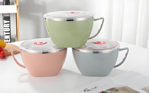 Student Portable Food Bowl