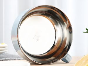 Food Grade Safe Meal Bowl